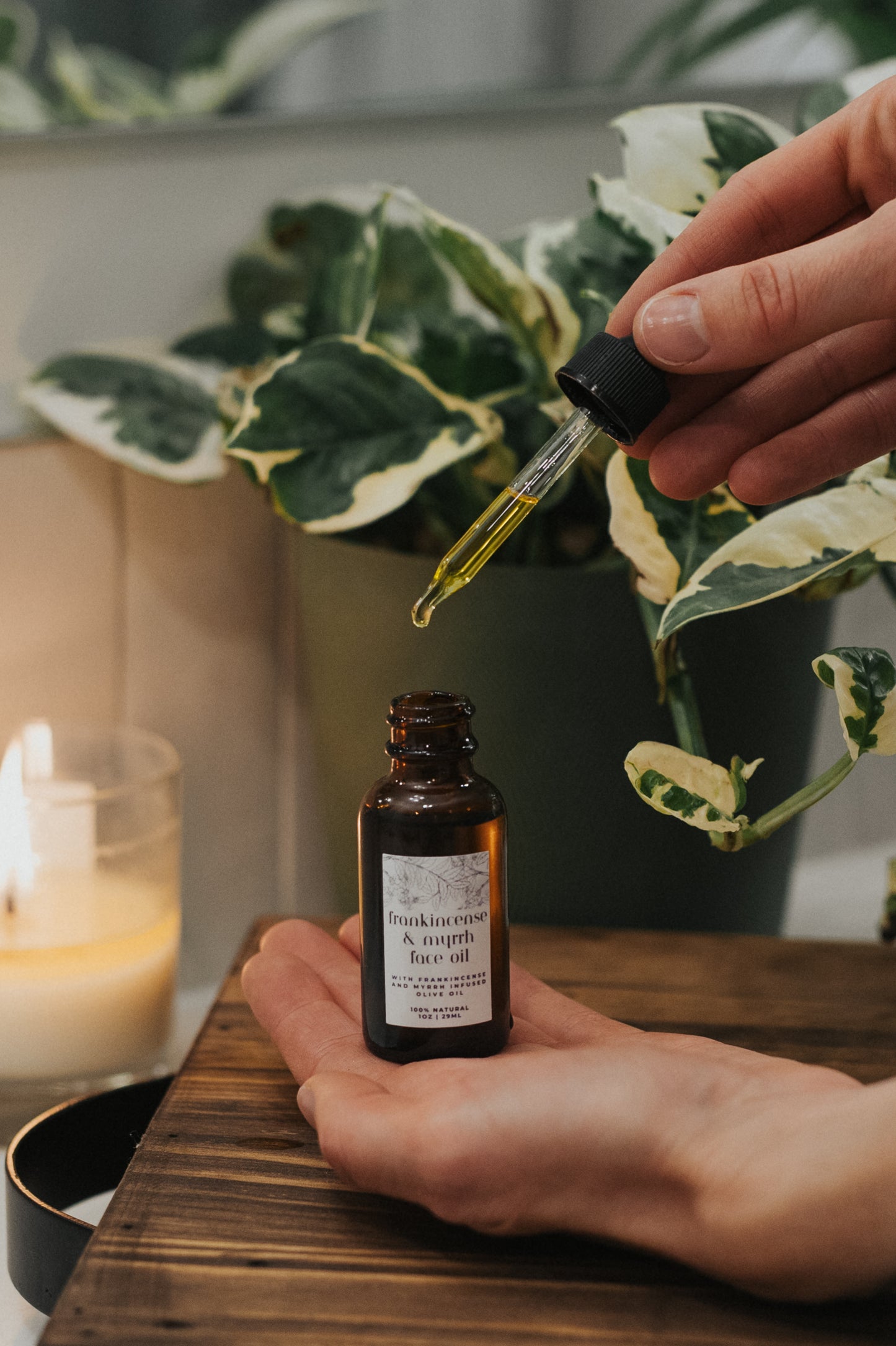 Frankincense and Myrrh Face Oil 🕊️ Wild Crafted Tallow