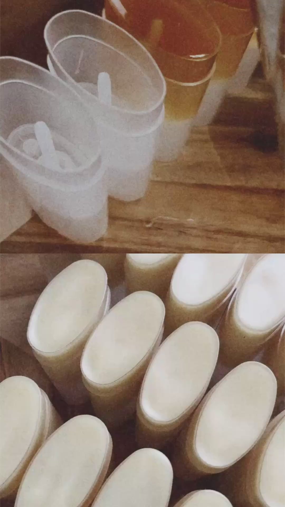 Tallow Lotion Stick 🐝 (Bundle To Save) Wild Crafted Tallow